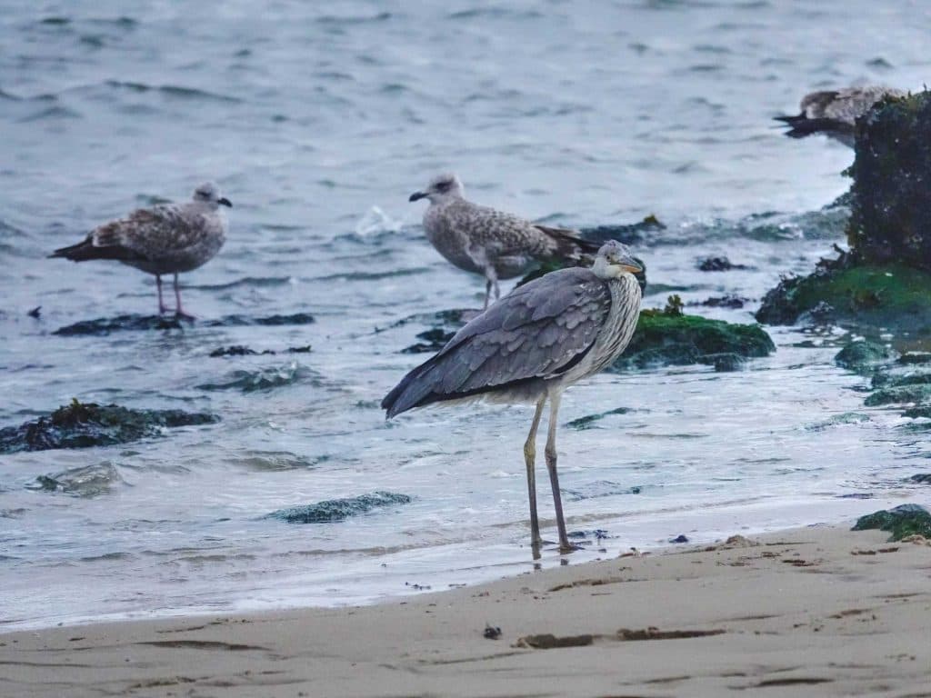 een weekendje wadden eilanden