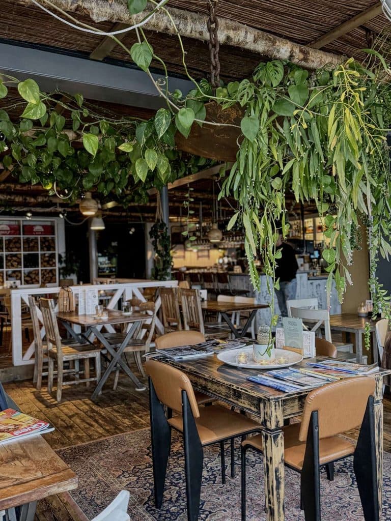 waar eten en lunchen in vlieland