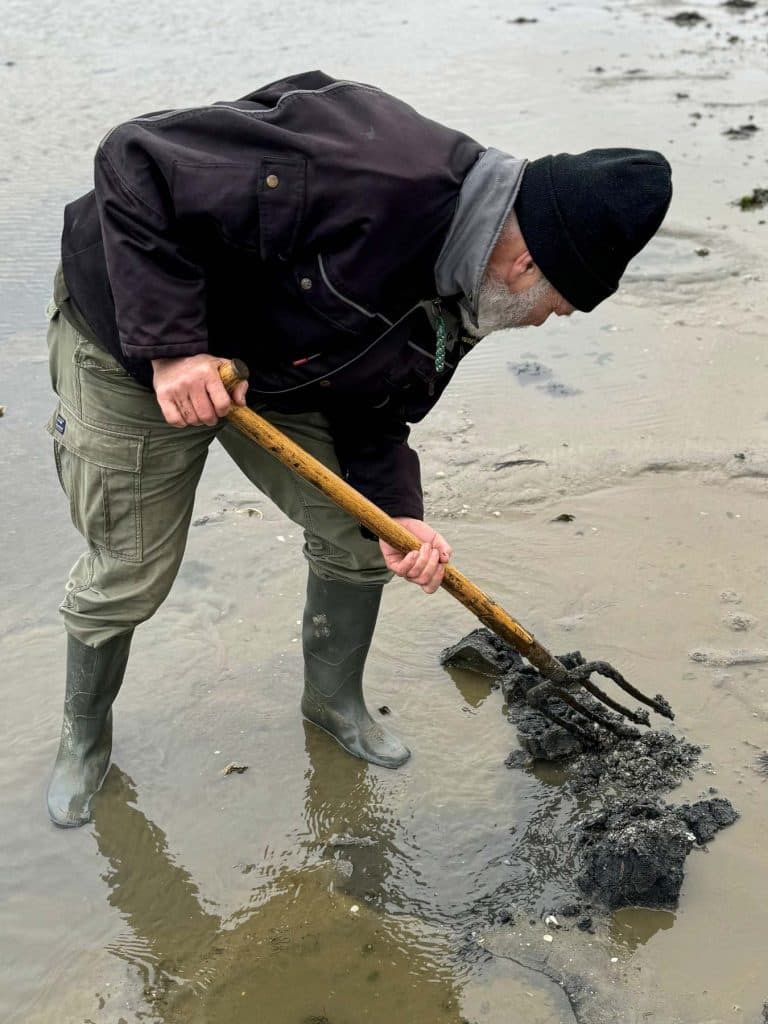 wadden eilanden bezoeken