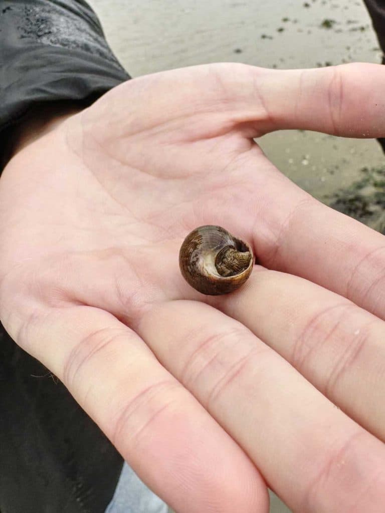 wat doen in vlieland