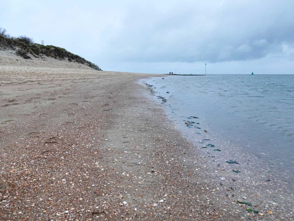 vogels spotten in vlieland op de waddeneilanden