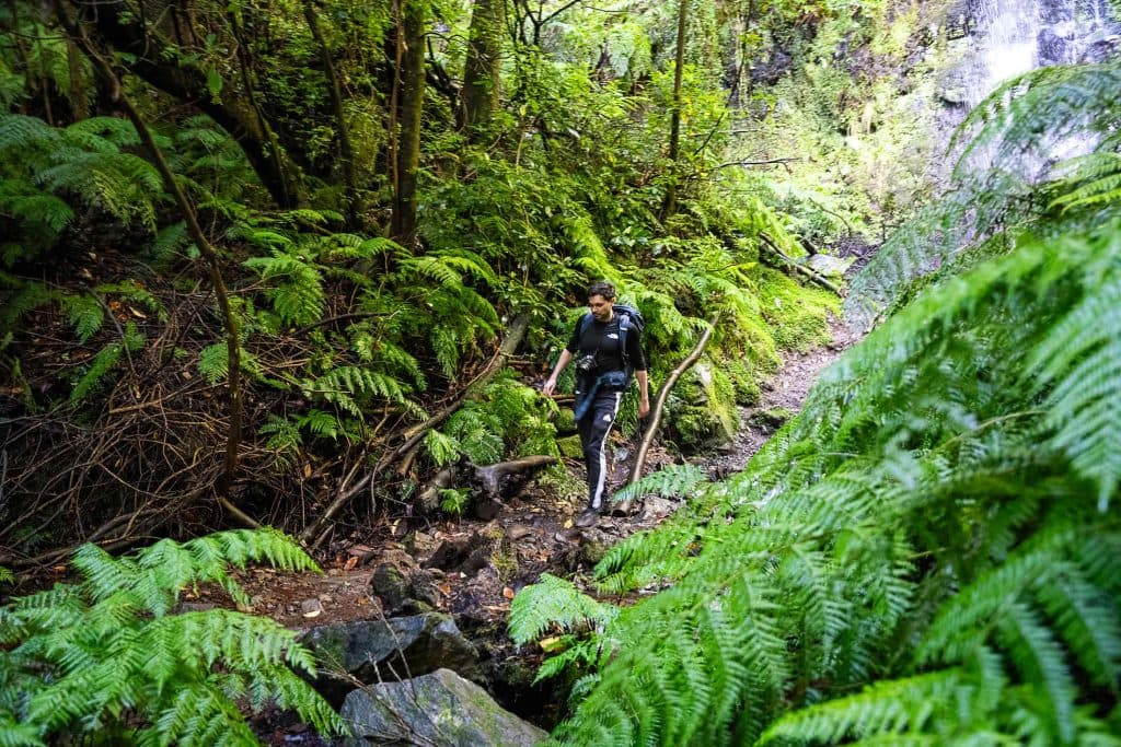 wandelen in madeira