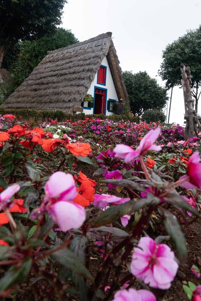 rondtour madeira eiland jeep tour