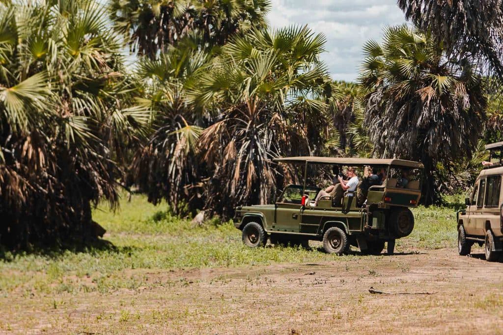 safari in zanzibar - big 5 spotten tanzania