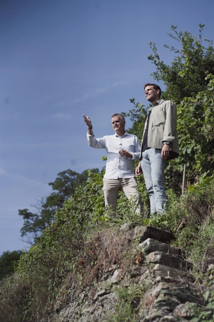 wijnvakantie in duitsland: koblenz