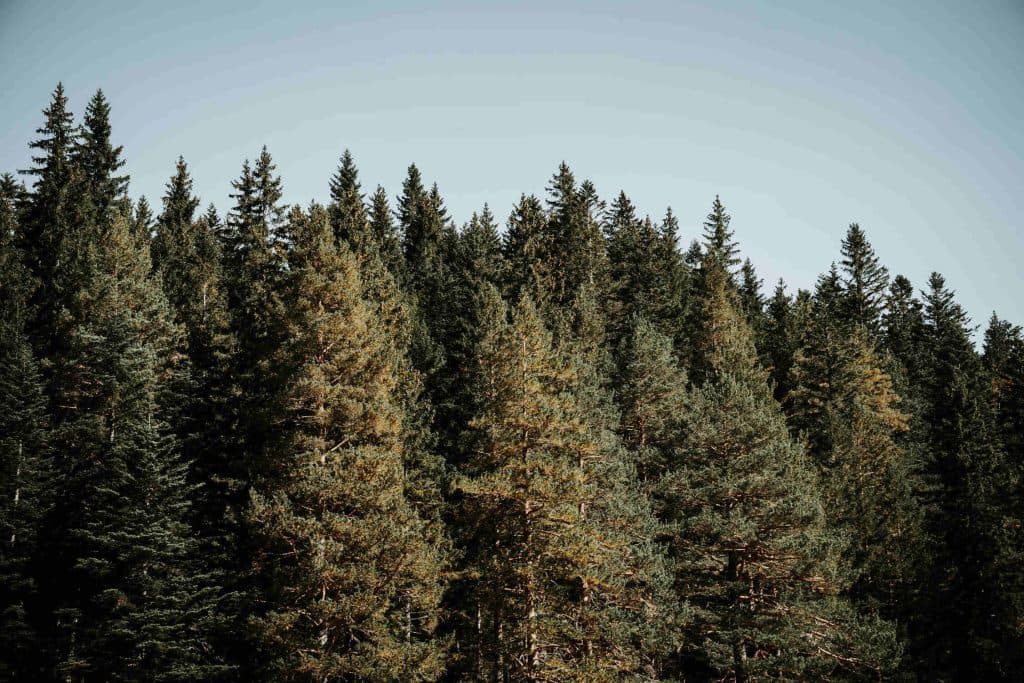 Een roadtrip door Montenegro maken, dit zijn de mooiste nationale parken