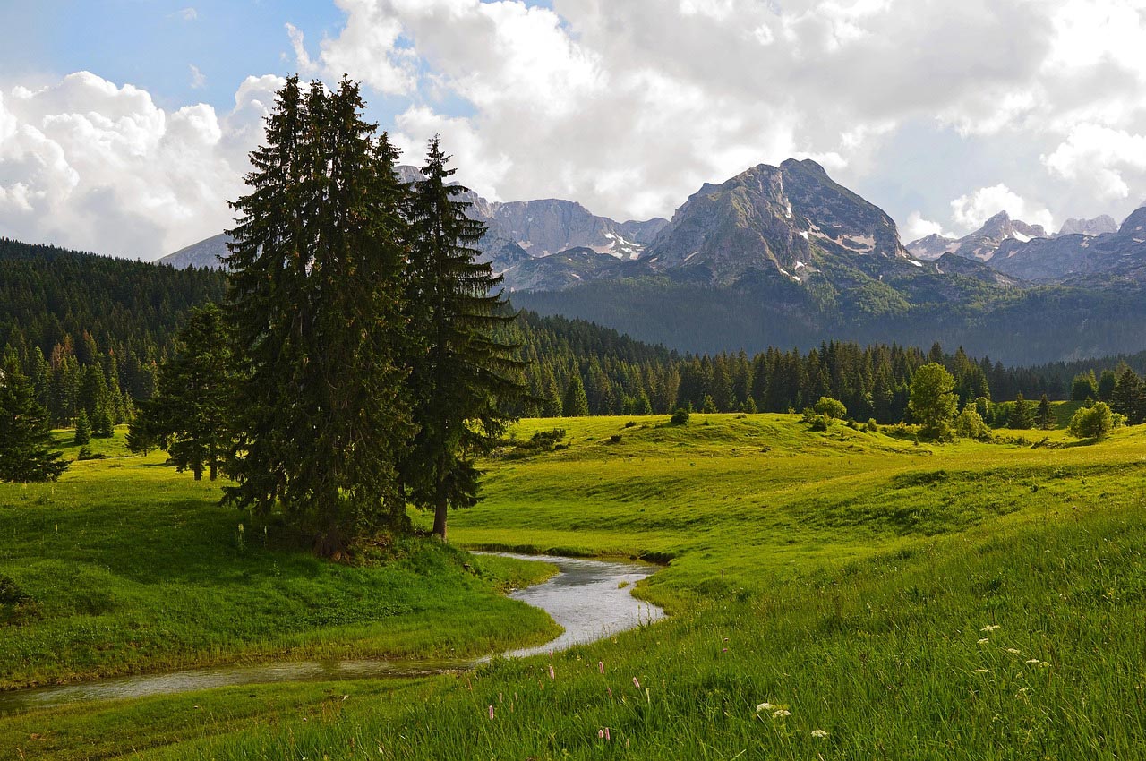 Een kronkelende beek stroomt door een weelderig groene weide in Loonsche Land, omringd door hoge pijnbomen, met beboste heuvels en ruige bergen op de achtergrond - perfect voor een vakantie met kinderen onder een gedeeltelijk bewolkte hemel.