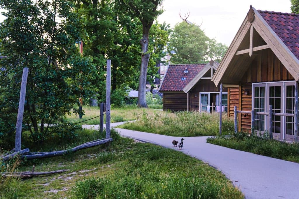 Een rustig pad slingert tussen houten hutten met rode pannendaken in Loonsche Land, omgeven door weelderig groen. Twee eenden lopen langs het pad en bomen vullen het vredige, landelijke landschap - een idyllische plek na een bezoek aan de Efteling met je tickets.
