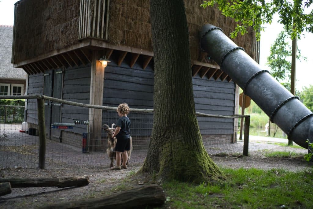 Een jong kind met een kleine geit staat bij een grote boom voor een rustiek houten gebouw met een buisglijbaan, die de charme van Loonsche Land oproept - perfect voor een vakantie met kinderen, omringd door een omheind erf.