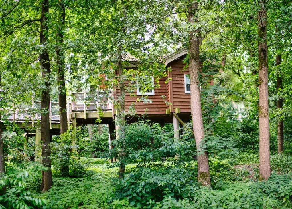 Een houten boomhut is genesteld tussen weelderige groene bomen en gebladerte, perfect voor een vakantie met kinderen, gedeeltelijk verborgen door takken in een dichte bosomgeving.