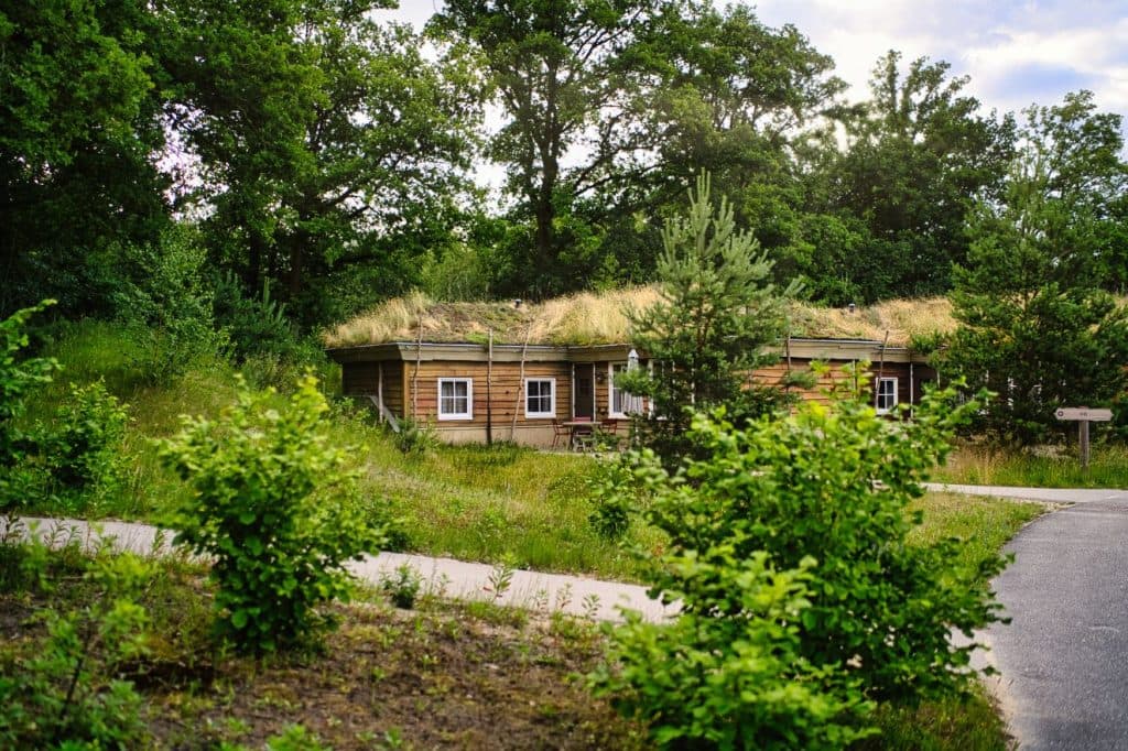 Een klein houten huisje met een met gras begroeid dak ligt omringd door groene struiken en bomen, naast een gebogen geplaveid pad onder een gedeeltelijk bewolkte hemel-een vredige plek, perfect voordat je kaartjes gaat kopen voor de Efteling of van plan bent om Heusden te bezoeken.