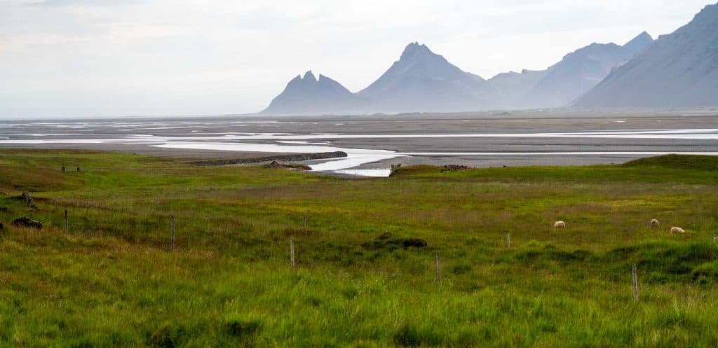 Een weids grasveld met een paar grazende schapen, een kronkelende rivier en bergen in de verte onder een bewolkte hemel - het perfecte decor voor je 7-daagse roadtrip met Iceland Nomads.