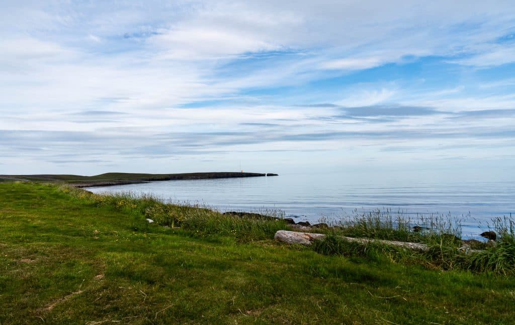 Een met gras begroeide kustlijn leidt naar kalm, stilstaand water onder een gedeeltelijk bewolkte hemel. In de verte steekt een lage landtong de zee in - een uitnodigend tafereel voor Roadtrip IJsland of IJsland-nomaden die op zoek zijn naar rustige, reflecterende landschappen.