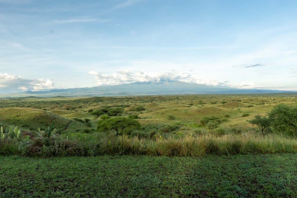 Uitgestrekte groene savanne met glooiende heuvels, verspreide bomen en hoog gras onder een blauwe Tanzaniaanse wolkenlucht. Bergen strekken zich uit langs de horizon in de verte, die de rustige geest van Afrika vastleggen en je uitnodigen om de poolstok langzaam en vredig te verkennen.