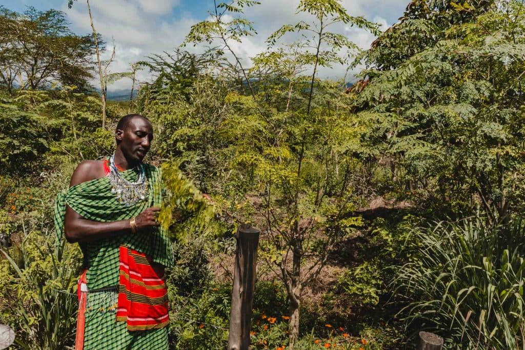 Een persoon gekleed in kleurrijke traditionele Maasai kleding en kralenwerk staat buiten te midden van weelderige groene bomen en planten en belichaamt een van de echte Tanzania hoogtepunten onder een gedeeltelijk bewolkte hemel.
