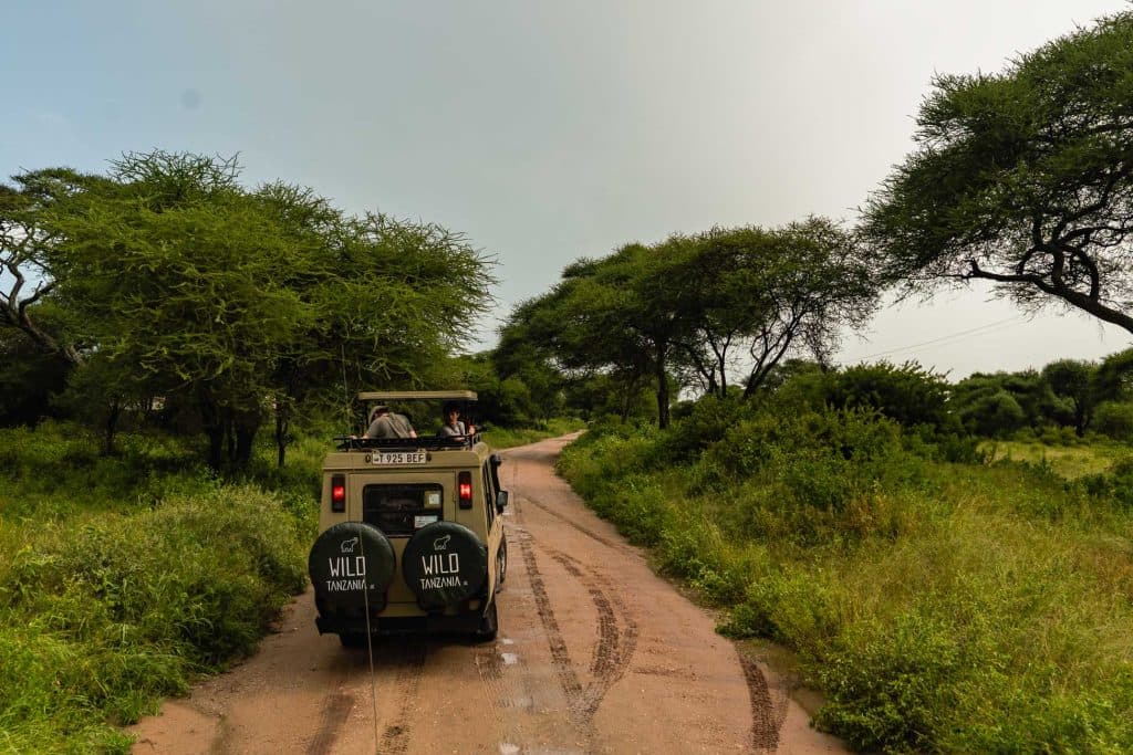 Een safarijeep rijdt over een kronkelende onverharde weg omringd door weelderige groene struiken en hoge bomen onder een bewolkte hemel, met mensen erin die het landschap observeren - een van de echte hoogtepunten van Tanzania.