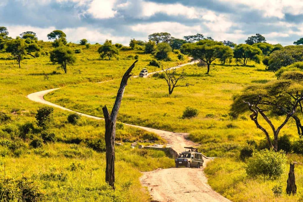 Een kronkelende onverharde weg snijdt door een weelderige groene savanne met verspreide bomen in Tanzania hoogtepunten, terwijl safarivoertuigen over het pad rijden onder een gedeeltelijk bewolkte hemel.
