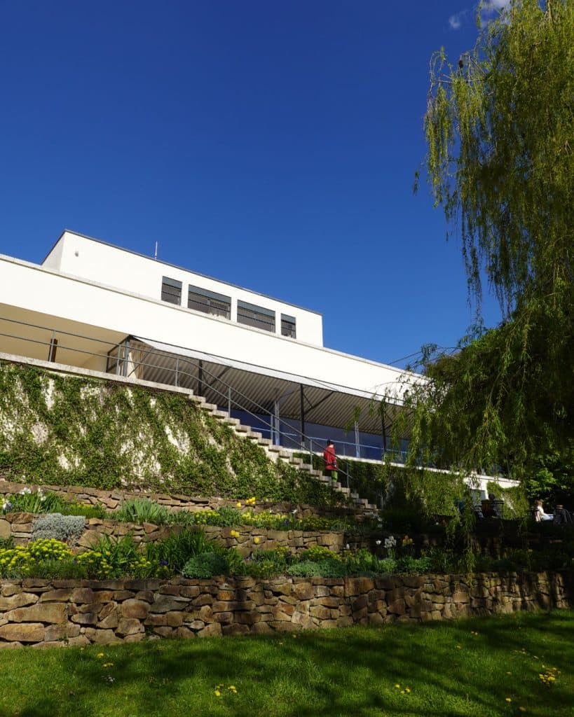 Een modern wit gebouw met platte daken en grote ramen ligt bovenop een terrastuin in Brno, Tsjechië, met stenen muren, groene planten en gele bloemen. Een persoon staat bij de reling; een grote boom omlijst de helderblauwe lucht.