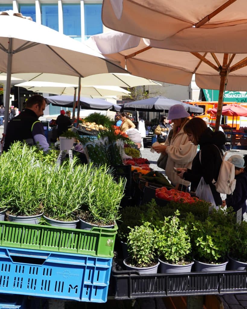 Mensen winkelen bij een marktkraam onder witte parasols in Brno, Tsjechië. Vooraan staan kruiden in potten, zoals rozemarijn en munt, met daarnaast verse producten en rode tomaten. Het winkelend publiek snuffelt onder het felle daglicht.