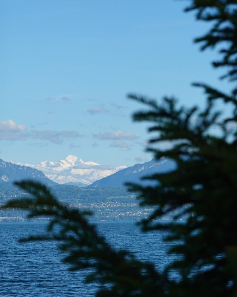 In de verte is onder een helderblauwe hemel een met sneeuw bedekte berg te zien. Op de voorgrond omlijsten wazige takken van groenblijvende bomen het tafereel. Onder de berg, vlakbij Morges in het kanton Vaud, vormen groene heuvels en een rustig meer een vredig landschap.