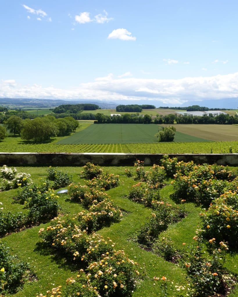 Op de voorgrond ligt een levendige tuin met kleine struiken met gele bloemen, omzoomd door een stenen muur. Daarachter strekken de groene akkers bij Morges zich uit tot in de verte, omzoomd door bomen onder een blauwe hemel bezaaid met pluizige witte wolken.