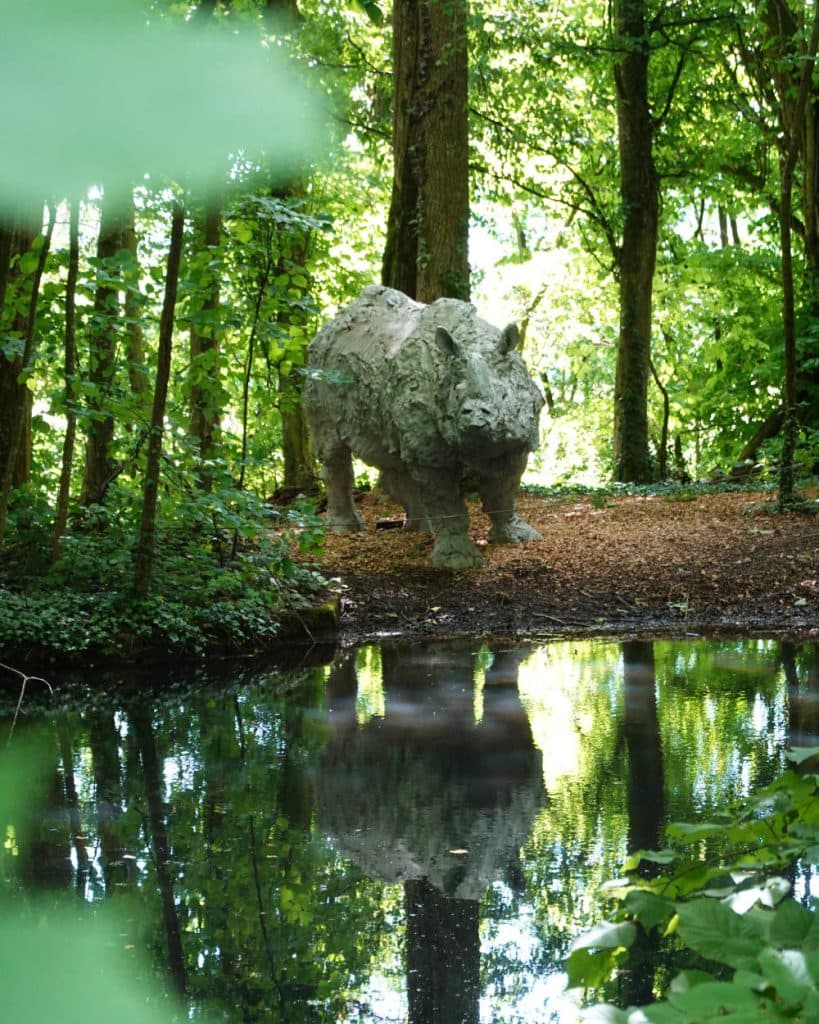 Op een onverhard pad in een weelderig bos in de buurt van Morges, in het kanton Vaud, staat een groot, grijs neushoornbeeld. Het tafereel wordt weerspiegeld in een rustig meer op de voorgrond, terwijl helder zonlicht door de bomen schijnt en groen gebladerte het beeld omlijst.