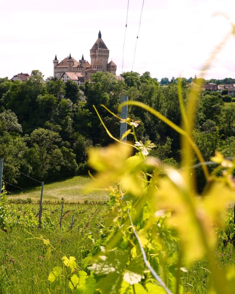 Op een heuvel in Vaud staat een afgelegen kasteel met puntige torens, omringd door dichtbegroeide groene bomen. Op de voorgrond, vlakbij Morges, strekken wijnstokken met heldergroene bladeren en ranken zich uit over het zonnige veld.