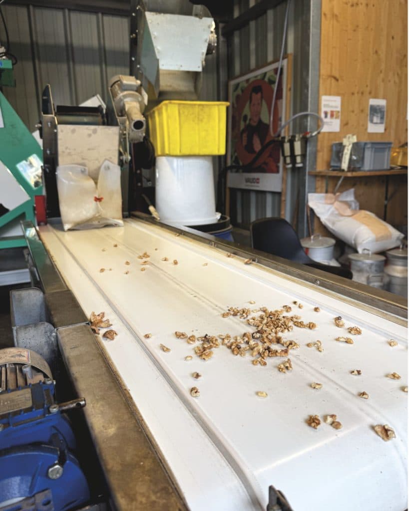 Een close-up van een witte transportband in een overzichtelijke industriële omgeving in Morges, waarop kleine bruine korrels worden vervoerd. In de buurt staan machines, zakken en bakken, die de verrassende charme van het kanton Vaud weerspiegelen. De houten muur op de achtergrond is versierd met planken en een poster.