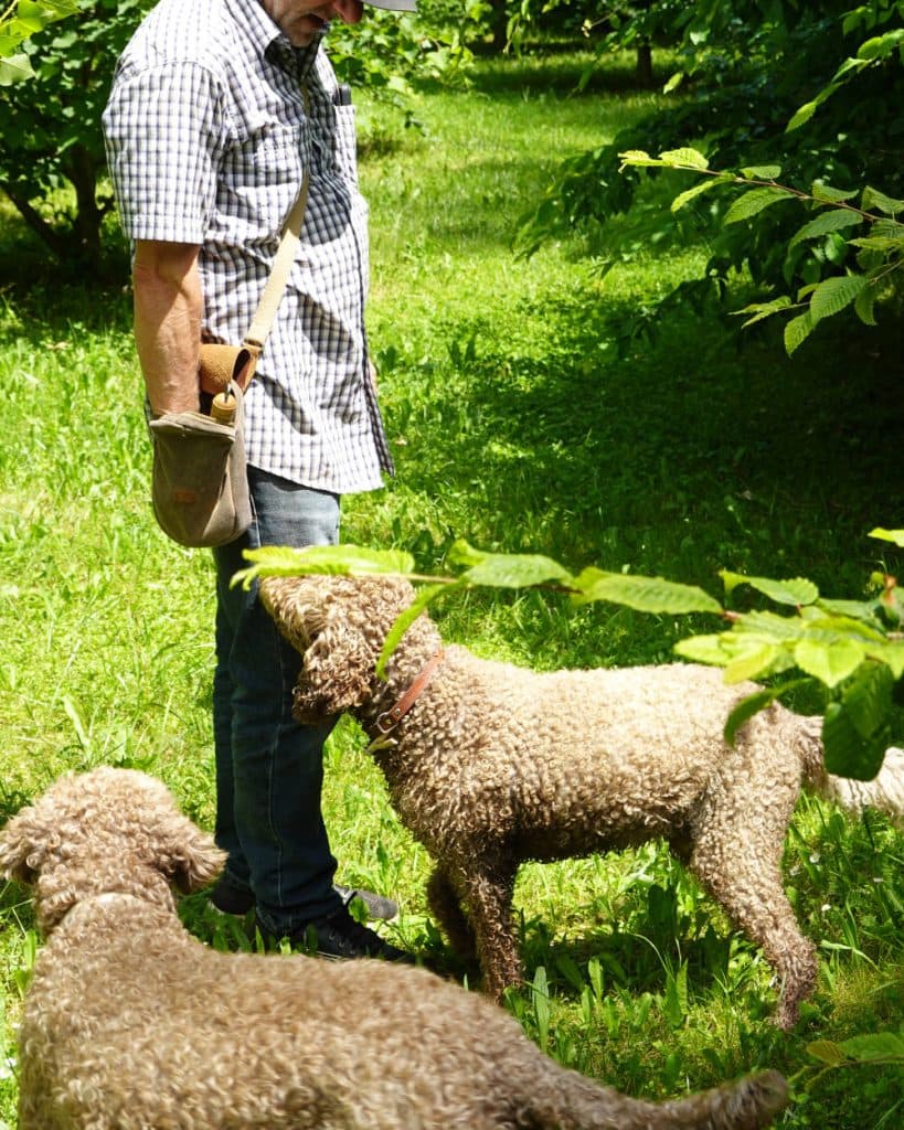 Een man in een geruit overhemd met korte mouwen staat op het groene gras tussen de bomen in Vaud, met een bruin schoudertasje bij zich. Twee bruine honden met krullend haar staan vlak naast hem en kijken omhoog terwijl het zonlicht door de bladeren schijnt op het groepje in de buurt van Yverdon-les-Bains.