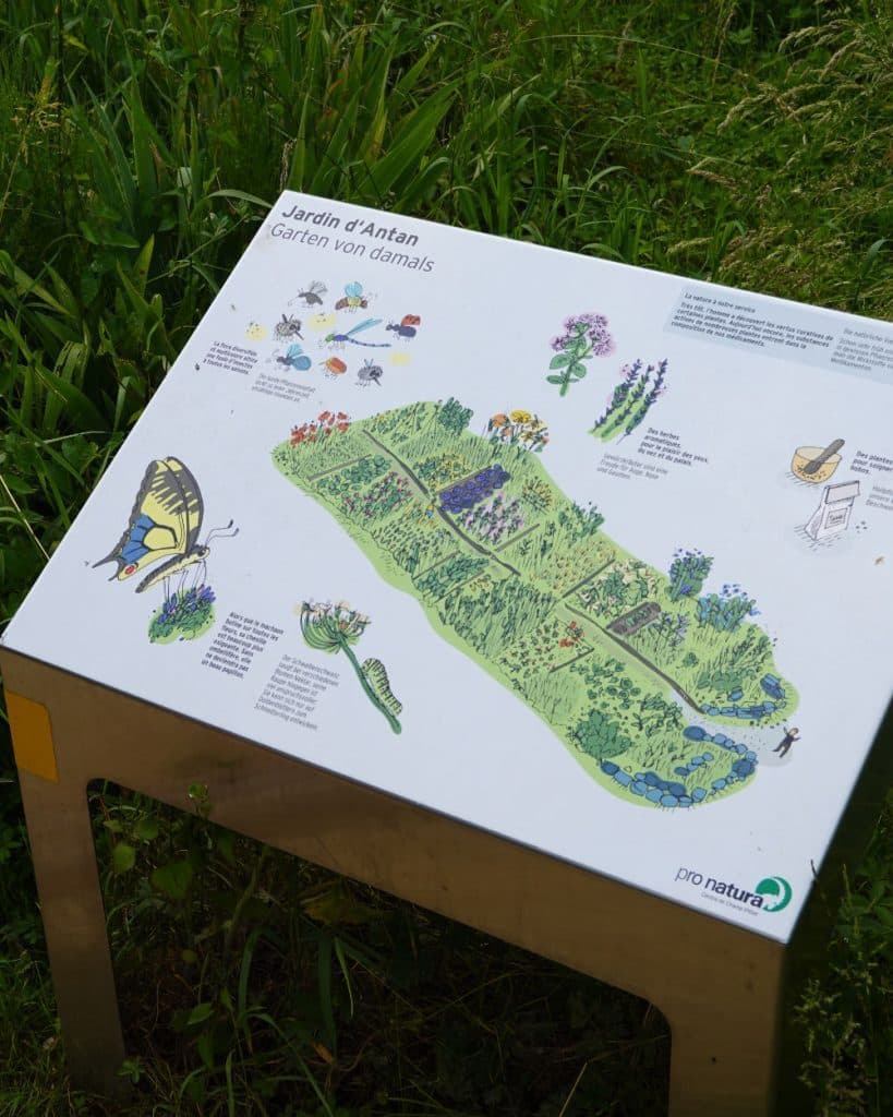 Op een informatiebord in de open lucht in Yverdon-les-Bains, in het kanton Vaud, met de titel „Jardin d’Antan/Garten von damals”, is een tuintekening te zien met planten, insecten en dieren die zijn aangeduid, aangevuld met educatieve illustraties en tekst, en dit alles te midden van hoog groen gras.