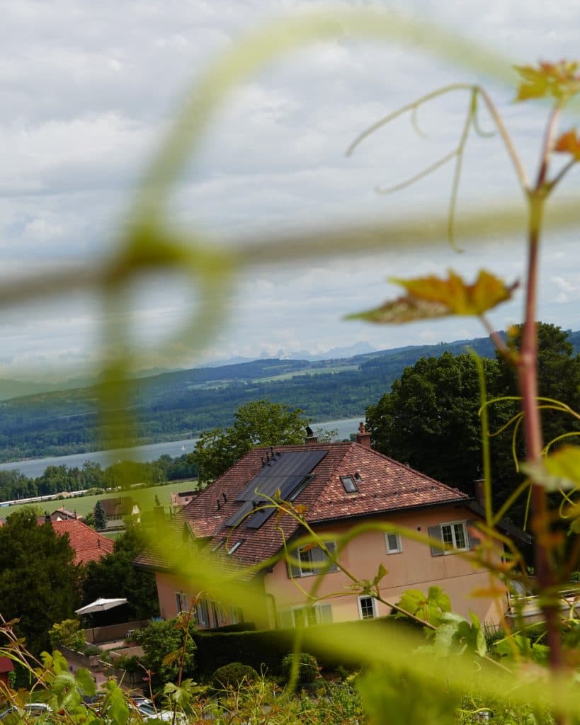 Een huis met twee verdiepingen, een rood dak en zonnepanelen staat te midden van het groen in de schilderachtige regio Vaud. Op de achtergrond, in de buurt van Yverdon-les-Bains, zijn het meer en de heuvels te zien. Vage groene plantenstengels belemmeren gedeeltelijk het uitzicht en slingeren zich door de voorgrond van de foto. De lucht is bewolkt.