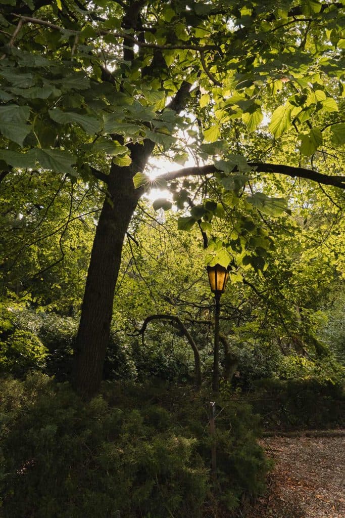 Een zonovergoten park met dichtbegroeide groene bomen, een verlichte zwarte lantaarnpaal en een grindpad dat zich een weg baant door de Brabantse natuur – perfect voor een middagwandeling of om je voor te stellen dat je, omringd door rustgevend groen, in de buurt van Breda overnacht.