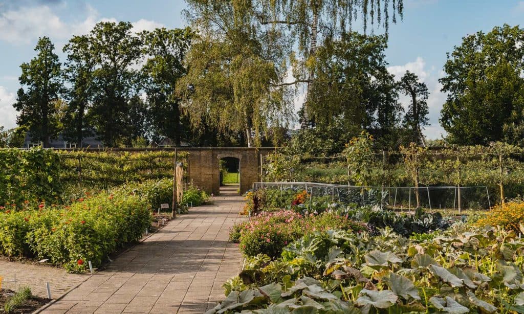 Een bakstenen pad loopt door een goed onderhouden tuin met diverse groene planten, bloemen en groenteperken, omzoomd door een bakstenen muur en hoge bomen op de achtergrond – een uitnodigende omgeving om te overnachten in het hart van de Brabantse natuur.