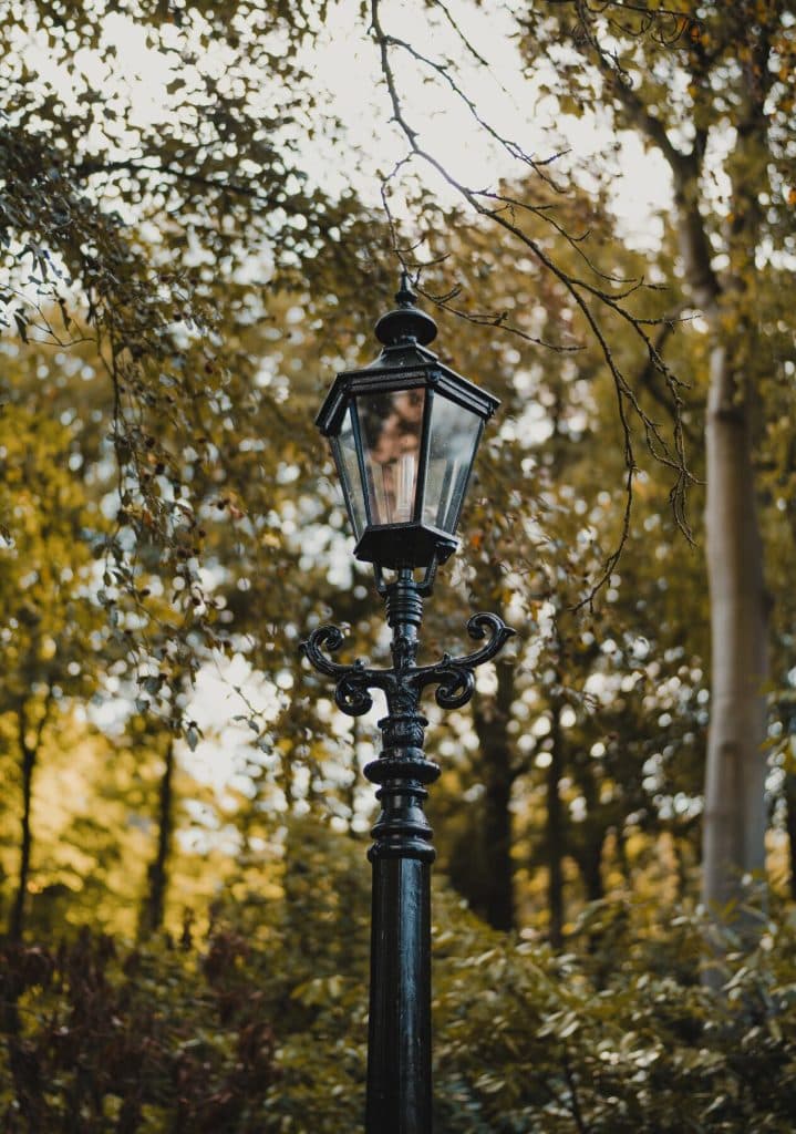 Een zwarte straatlantaarn in vintage-stijl staat te midden van hoge bomen en dichtgroen gebladerte in Breda, terwijl zacht natuurlijk licht het tafereel verlicht – een rustgevend glimpje van het goede leven.