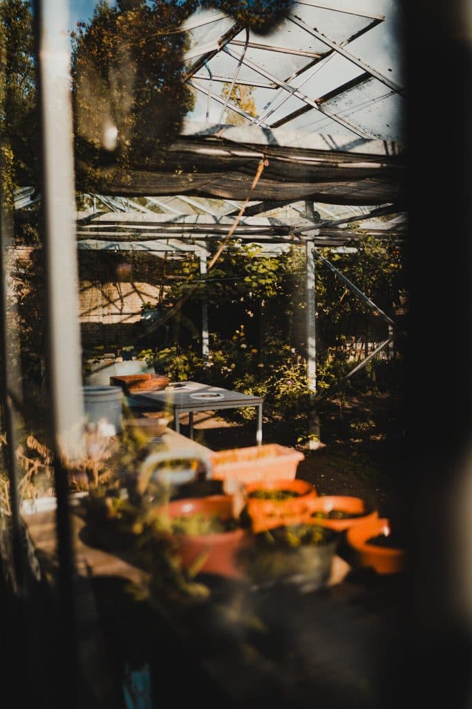 Planten in oranje potten staan op een tafel in een kas met een gedeeltelijk open dak, waar het zonlicht naar binnen stroomt en overal in de ruimte groen te zien is – zo ontstaat een sfeer die het ‘goede leven’ van Breda belichaamt.