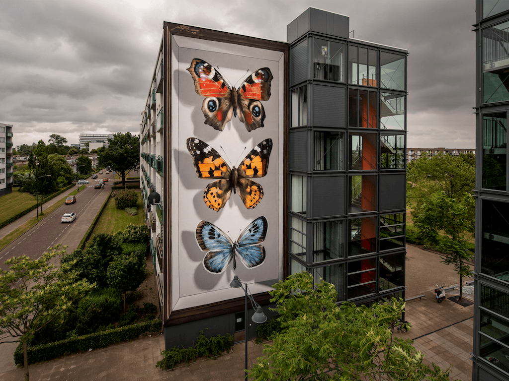 Op de buitenmuur van een gebouw in Breda is een grote muurschildering te zien van drie realistische vlinders die verticaal zijn afgebeeld; deze belichamen ‘het goede leven’ zoals dat er op een bewolkte dag van bovenaf uitziet.