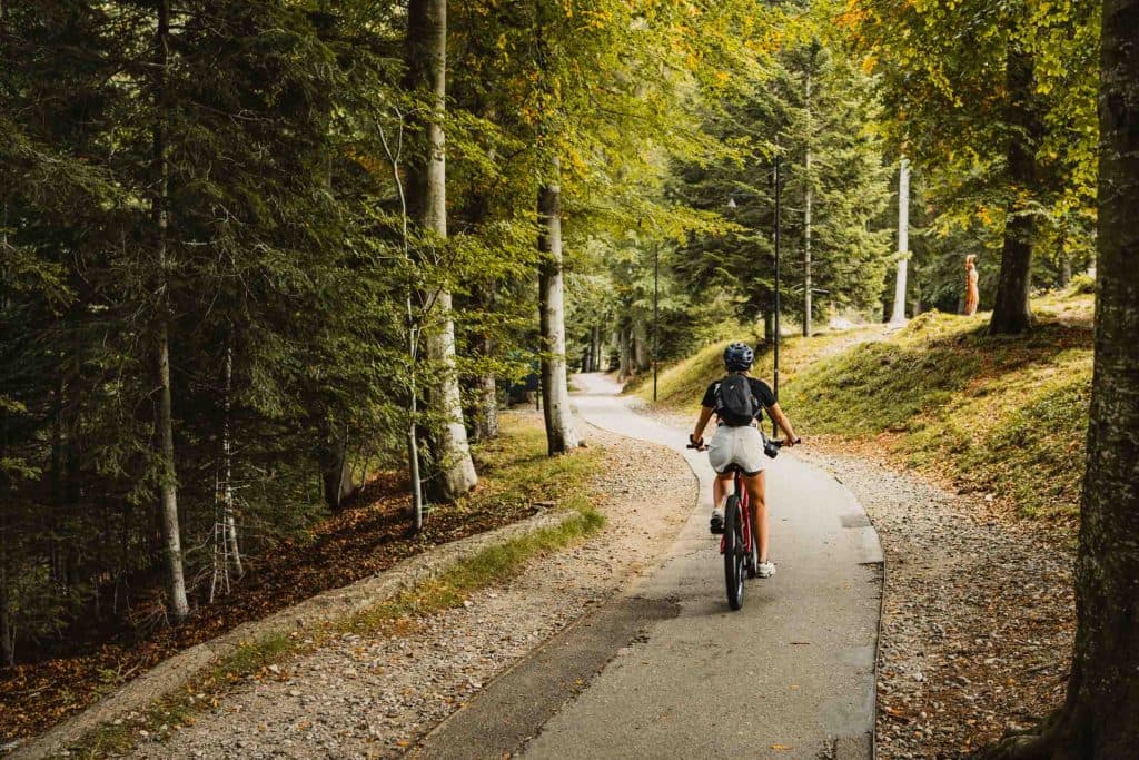 Een mountainbiker rijdt over een bospad tussen hoge bomen op Cardada, boven Locarno.