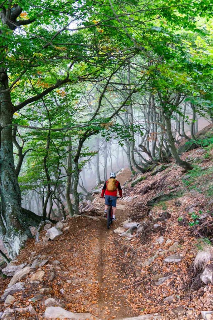 Een mountainbiker daalt af over een smal pad vol bladeren door een groen bos boven Locarno.