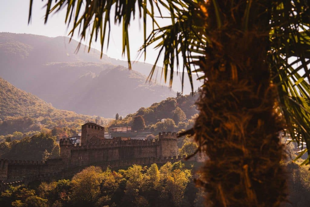 Castello di Montebello op een beboste heuvel in Bellinzona, gezien tussen de bladeren van een palmboom door, in het ochtendlicht.