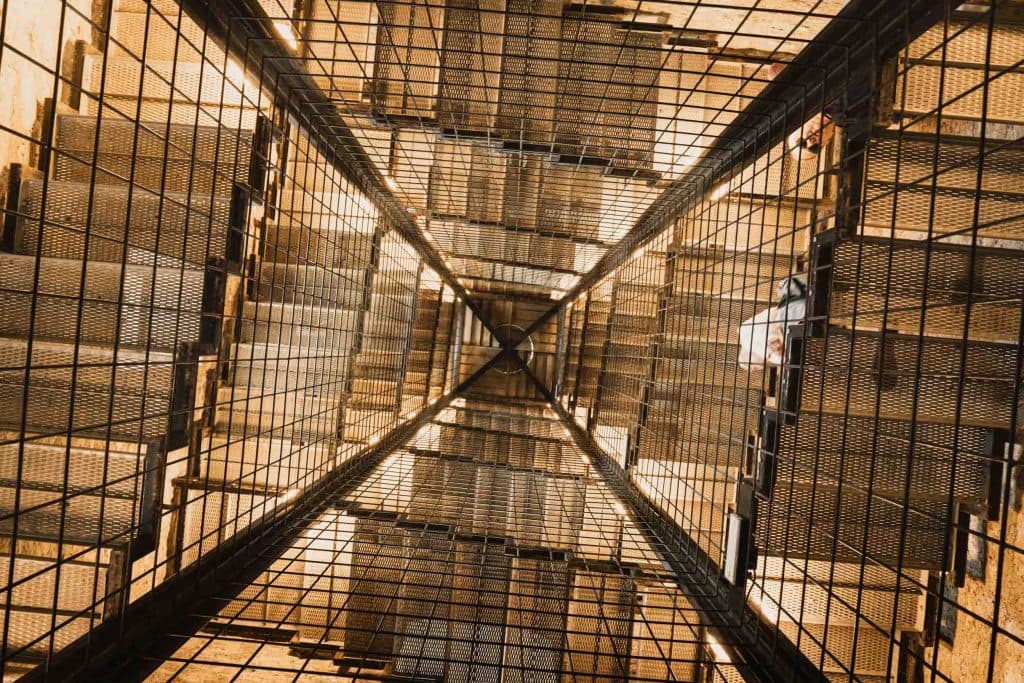 Zicht omhoog in de liftschacht van Castelgrande in Bellinzona, met een raster van betonnen balken en metalen trappen.